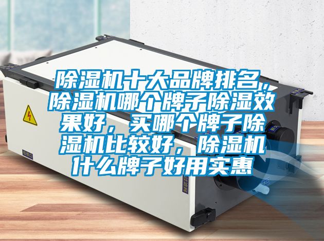 除濕機十大品牌排名，除濕機哪個牌子除濕效果好，買哪個牌子除濕機比較好，除濕機什么牌子好用實惠