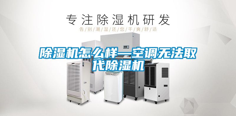 除濕機(jī)怎么樣—空調(diào)無法取代除濕機(jī)