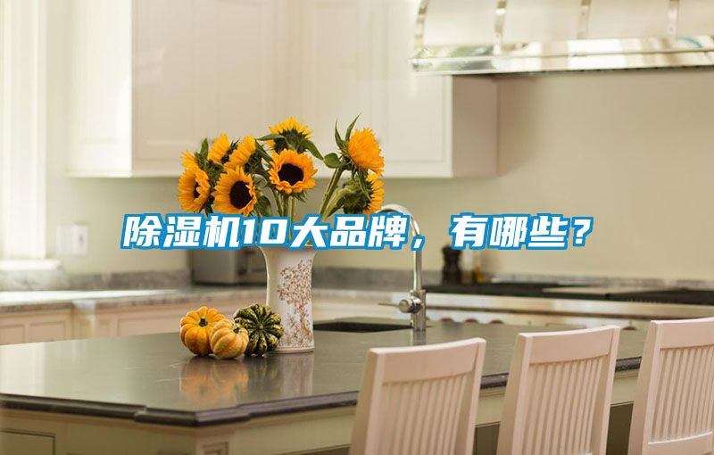 除濕機10大品牌，有哪些？