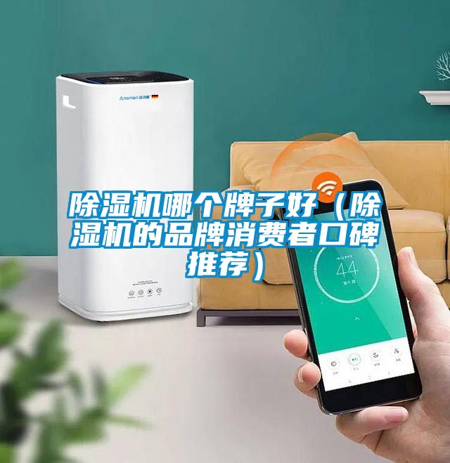除濕機哪個牌子好（除濕機的品牌消費者口碑推薦）