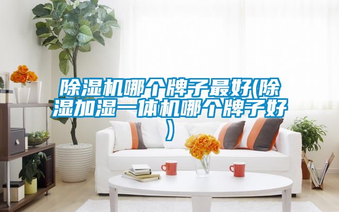 除濕機哪個牌子最好(除濕加濕一體機哪個牌子好)
