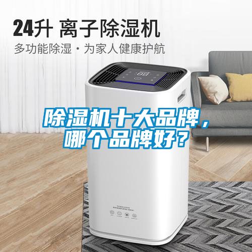 除濕機十大品牌，哪個品牌好？