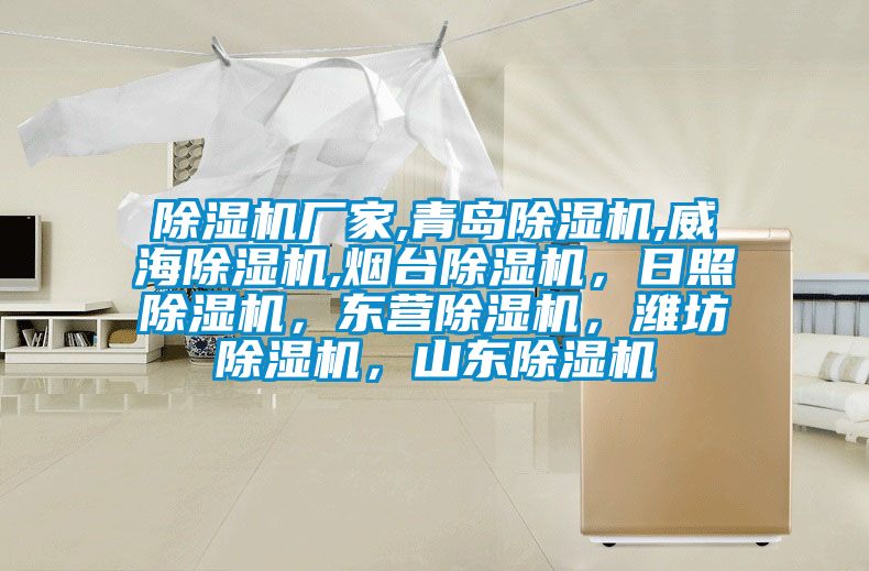除濕機廠家,青島除濕機,威海除濕機,煙臺除濕機，日照除濕機，東營除濕機，濰坊除濕機，山東除濕機