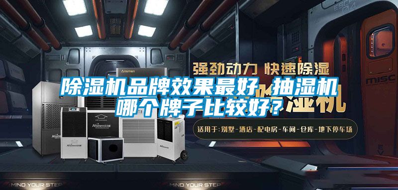 除濕機品牌效果最好 抽濕機哪個牌子比較好？
