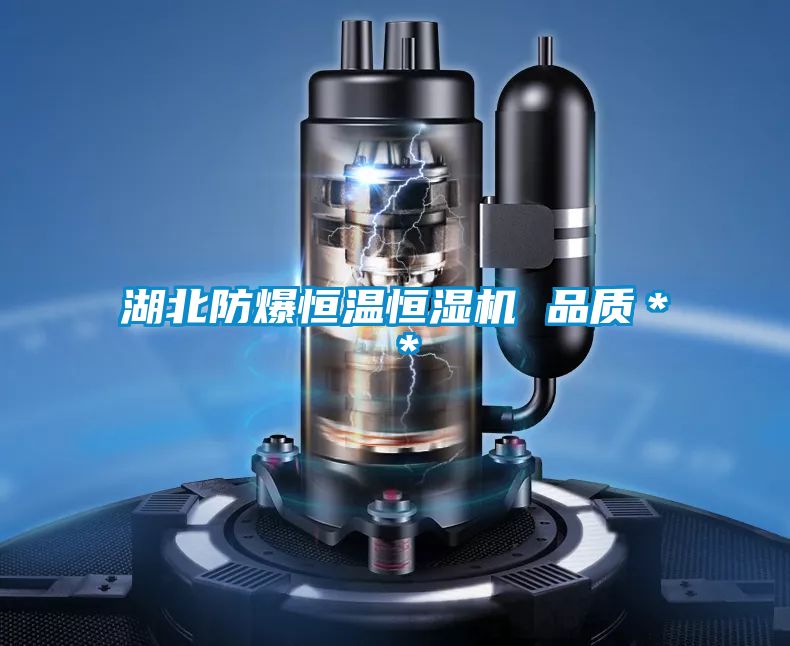 湖北防爆恒溫恒濕機 品質＊＊