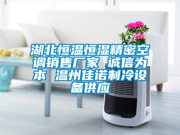 湖北恒溫恒濕精密空調銷售廠家 誠信為本 溫州佳諾制冷設備供應