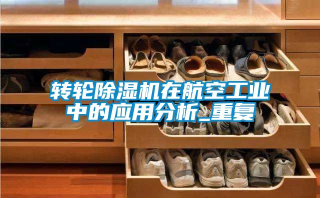 轉(zhuǎn)輪除濕機(jī)在航空工業(yè)中的應(yīng)用分析_重復(fù)