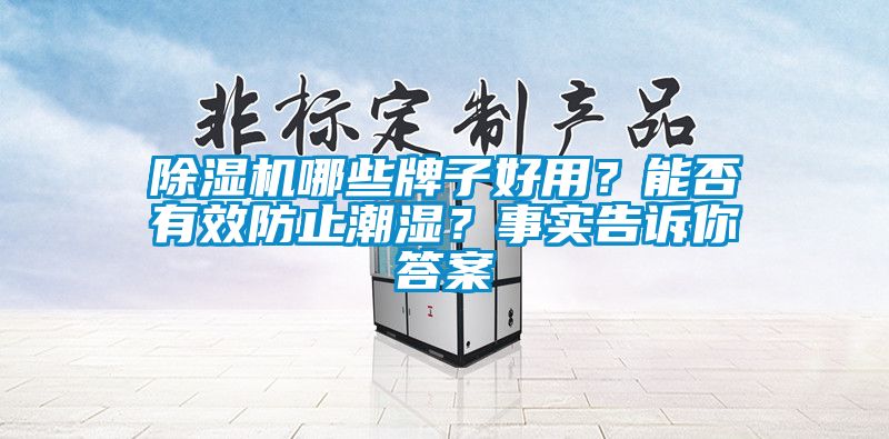 除濕機哪些牌子好用？能否有效防止潮濕？事實告訴你答案