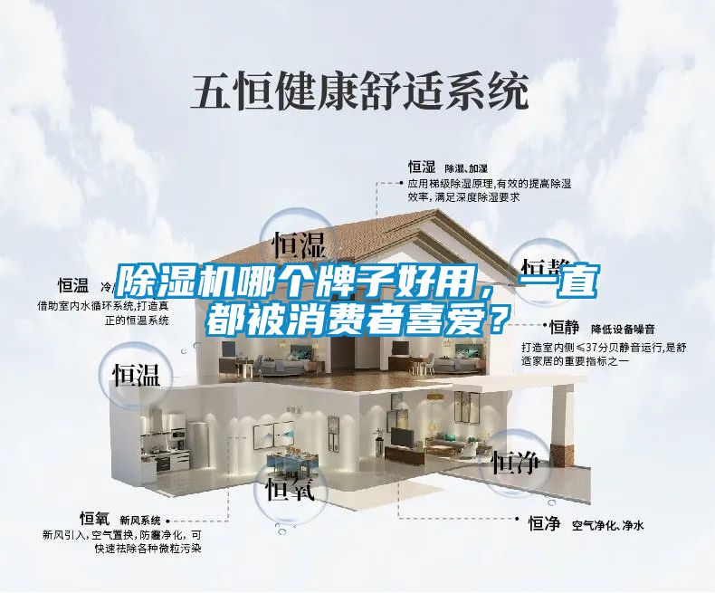除濕機哪個牌子好用，一直都被消費者喜愛？