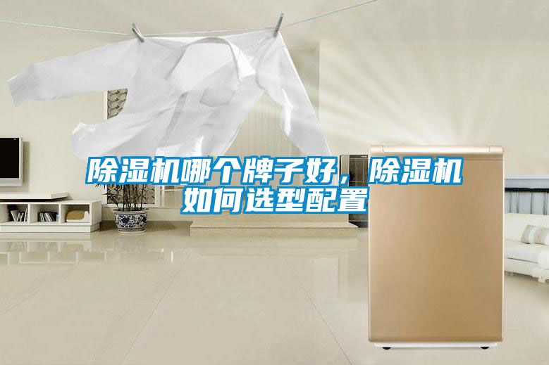 除濕機哪個牌子好，除濕機如何選型配置