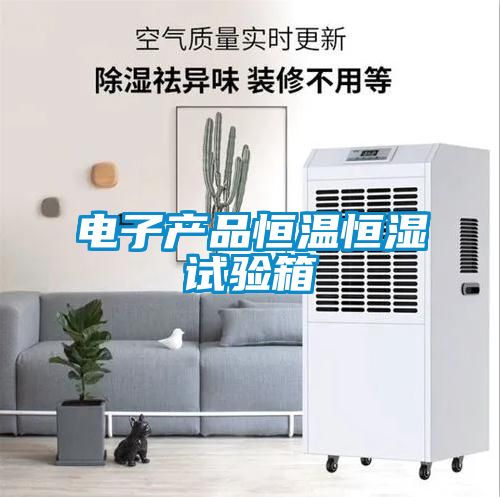 電子產品恒溫恒濕試驗箱