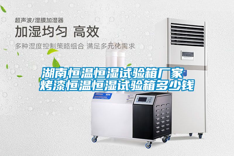 湖南恒溫恒濕試驗箱廠家 烤漆恒溫恒濕試驗箱多少錢