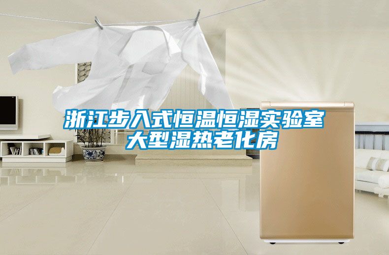 浙江步入式恒溫恒濕實驗室 大型濕熱老化房