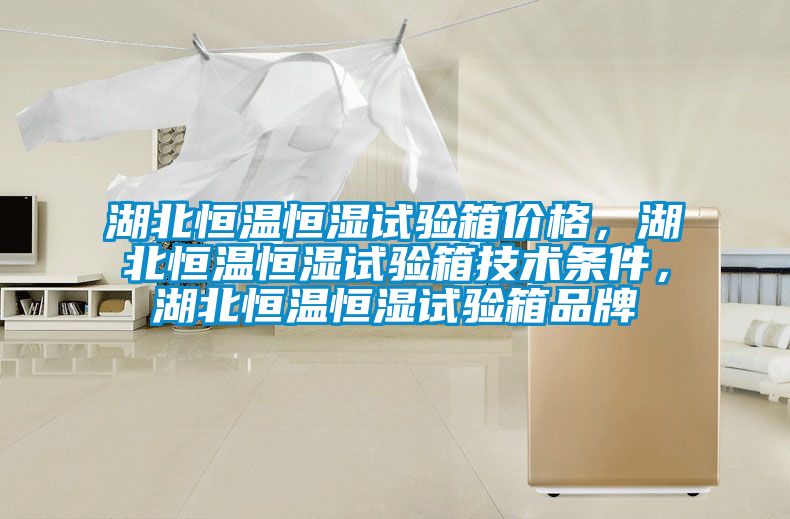 湖北恒溫恒濕試驗箱價格，湖北恒溫恒濕試驗箱技術(shù)條件，湖北恒溫恒濕試驗箱品牌