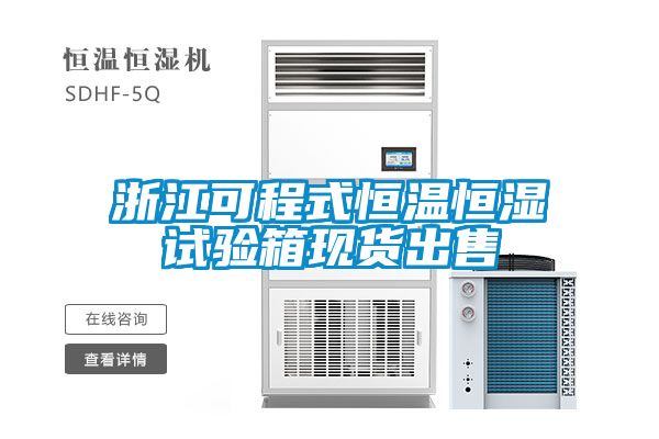 浙江可程式恒溫恒濕試驗箱現貨出售