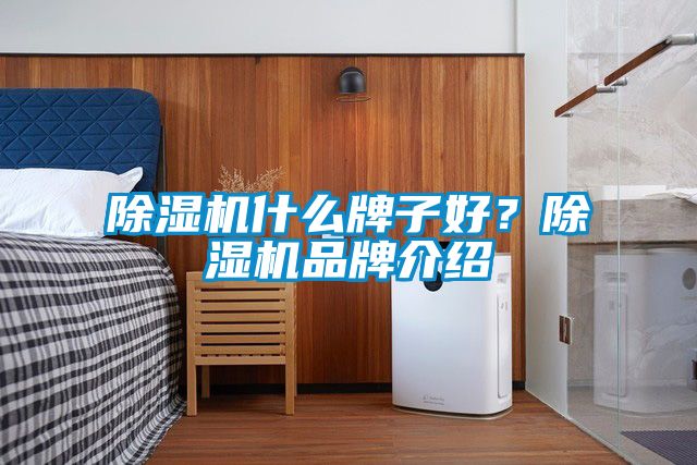 除濕機什么牌子好？除濕機品牌介紹