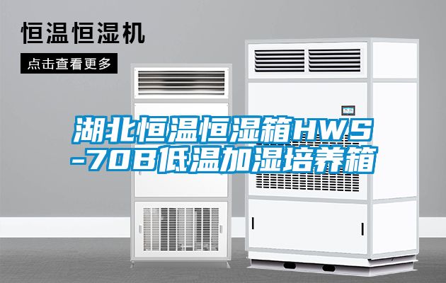 湖北恒溫恒濕箱HWS-70B低溫加濕培養(yǎng)箱