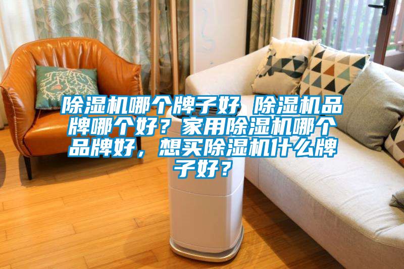除濕機哪個牌子好 除濕機品牌哪個好？家用除濕機哪個品牌好，想買除濕機什么牌子好？