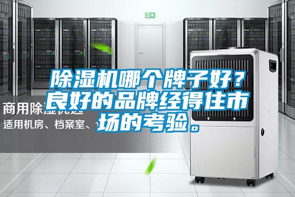 除濕機哪個牌子好？良好的品牌經得住市場的考驗。
