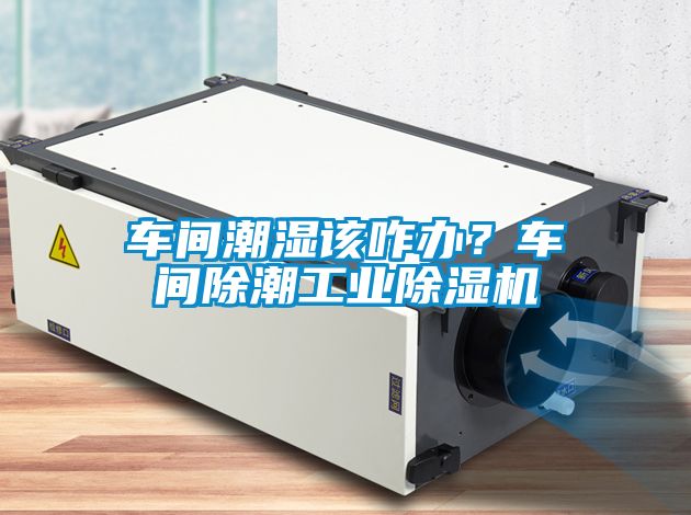 車間潮濕該咋辦？車間除潮工業除濕機
