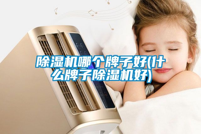除濕機哪個牌子好(什么牌子除濕機好)