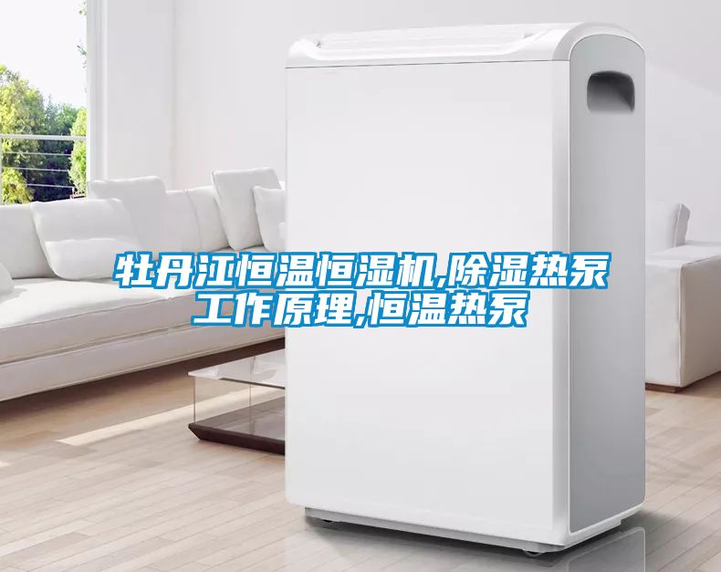 牡丹江恒溫恒濕機,除濕熱泵工作原理,恒溫熱泵