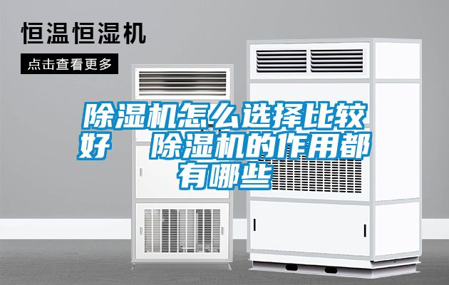 除濕機(jī)怎么選擇比較好  除濕機(jī)的作用都有哪些