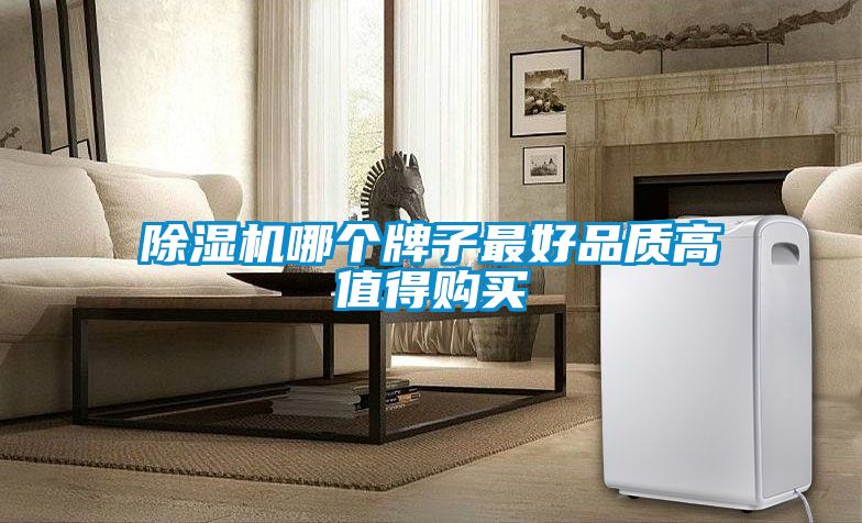 除濕機(jī)哪個(gè)牌子最好品質(zhì)高值得購買