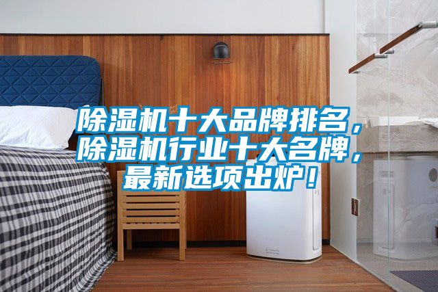 除濕機十大品牌排名，除濕機行業(yè)十大名牌，最新選項出爐！