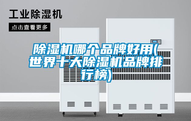 除濕機哪個品牌好用(世界十大除濕機品牌排行榜)