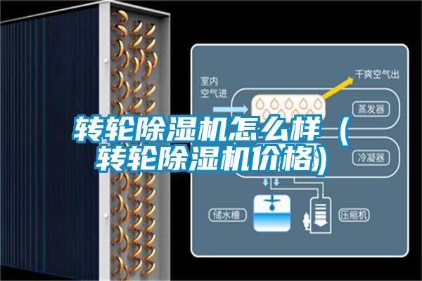 轉輪除濕機怎么樣（轉輪除濕機價格）