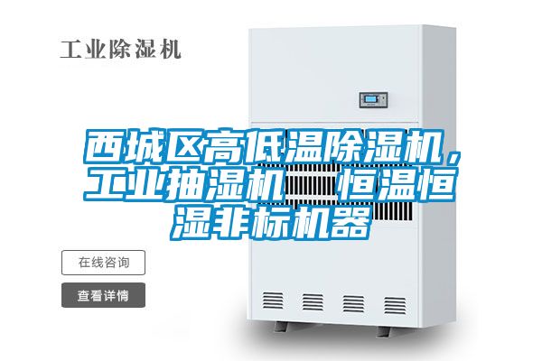 西城區(qū)高低溫除濕機(jī)，工業(yè)抽濕機(jī)  恒溫恒濕非標(biāo)機(jī)器