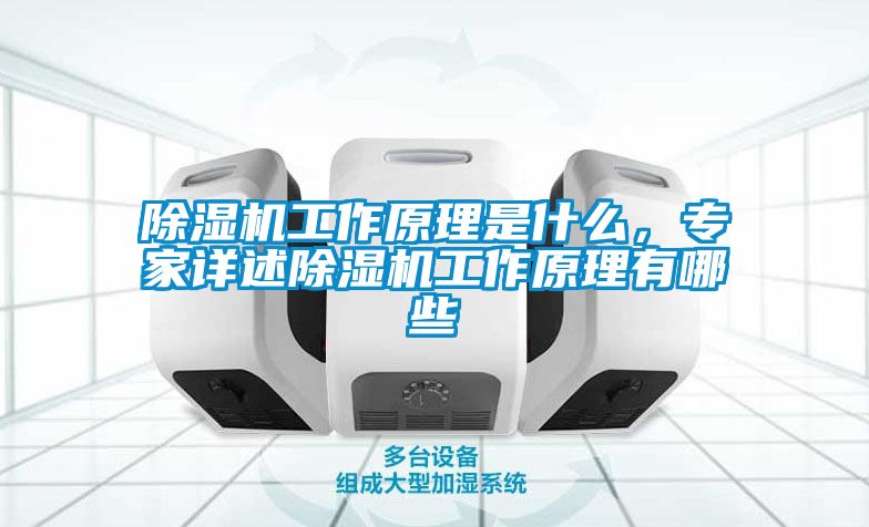 除濕機工作原理是什么，專家詳述除濕機工作原理有哪些