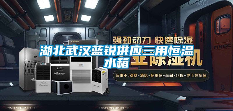 湖北武漢藍銳供應三用恒溫水箱