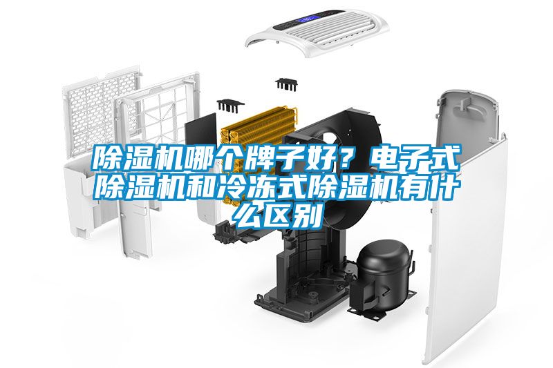 除濕機哪個牌子好？電子式除濕機和冷凍式除濕機有什么區別