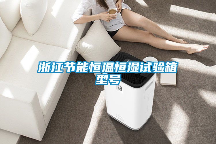 浙江節能恒溫恒濕試驗箱型號