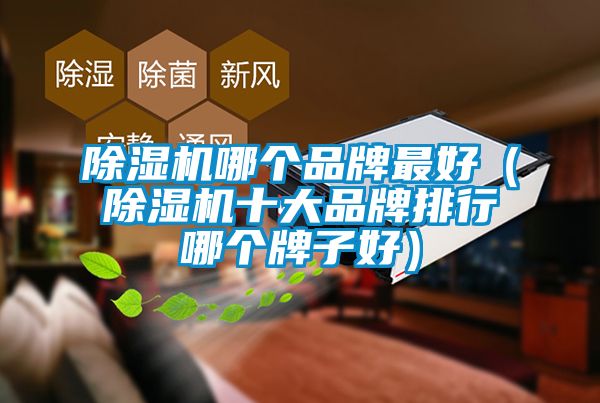 除濕機(jī)哪個(gè)品牌最好（除濕機(jī)十大品牌排行哪個(gè)牌子好）