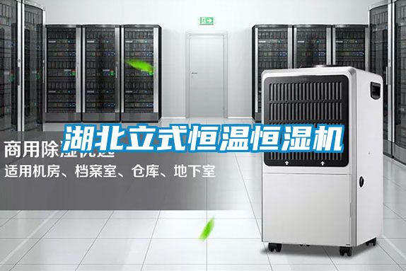 湖北立式恒溫恒濕機