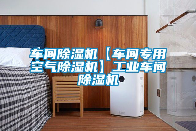 車間除濕機【車間專用空氣除濕機】工業車間除濕機