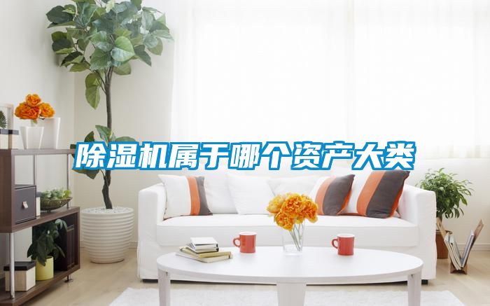 除濕機(jī)屬于哪個(gè)資產(chǎn)大類