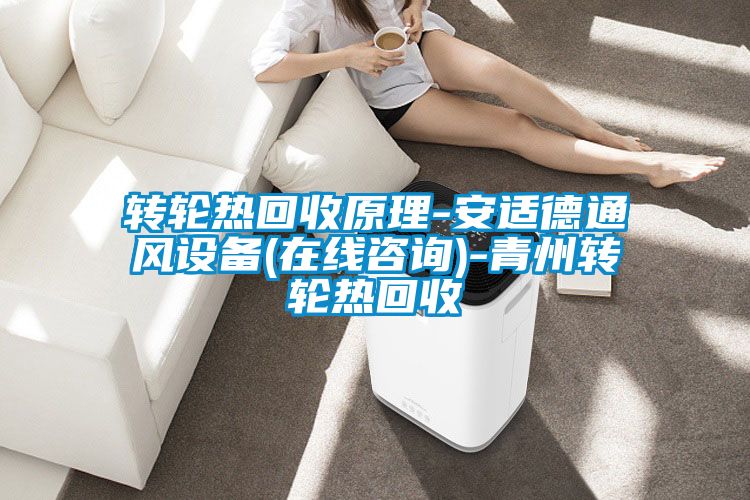轉輪熱回收原理-安適德通風設備(在線咨詢)-青州轉輪熱回收