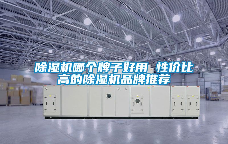 除濕機哪個牌子好用 性價比高的除濕機品牌推薦