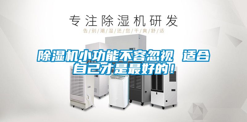 除濕機小功能不容忽視 適合自己才是最好的！