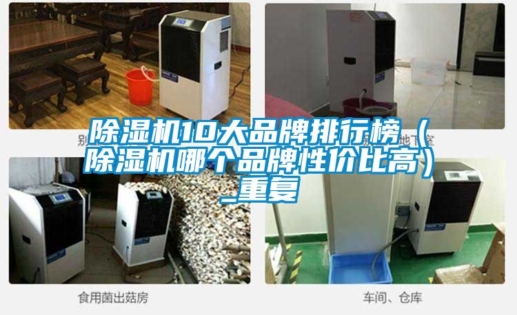 除濕機10大品牌排行榜（除濕機哪個品牌性價比高）_重復