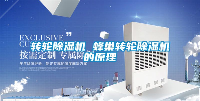 轉輪除濕機 蜂巢轉輪除濕機的原理