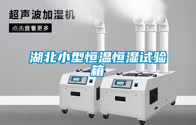 湖北小型恒溫恒濕試驗箱