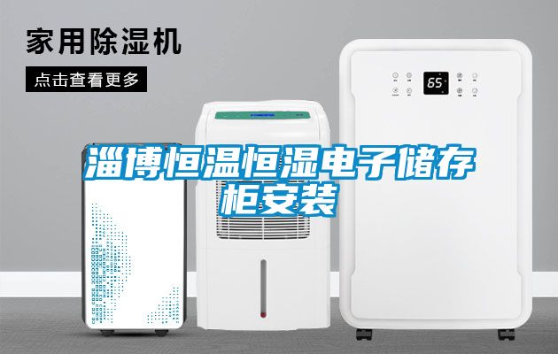 淄博恒溫恒濕電子儲(chǔ)存柜安裝