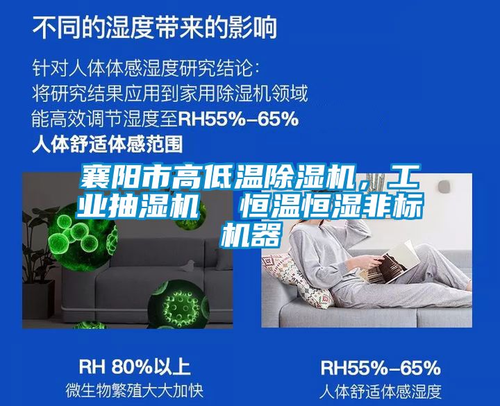 襄陽市高低溫除濕機，工業(yè)抽濕機  恒溫恒濕非標機器