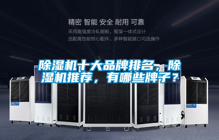 除濕機十大品牌排名，除濕機推薦，有哪些牌子？