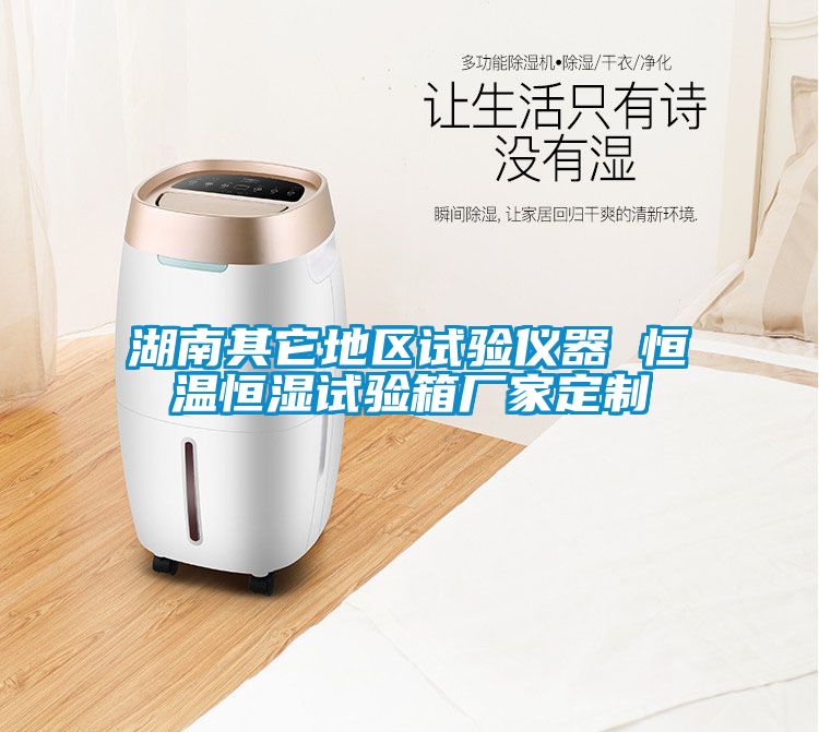 湖南其它地區(qū)試驗(yàn)儀器 恒溫恒濕試驗(yàn)箱廠家定制